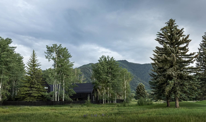 Каменные дома BH-420