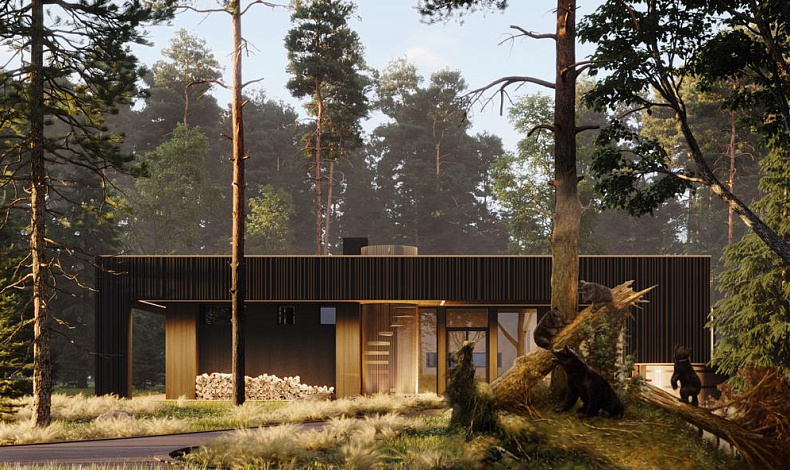 Каменные дома B-104