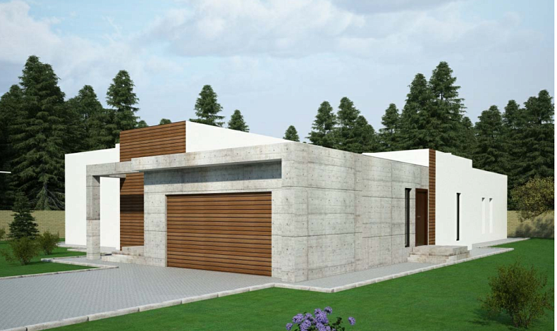 Дома хай-тек HT-297 Артек