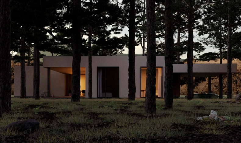 Дома с плоской крышей HT-278