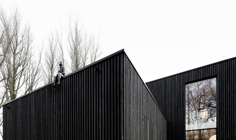 Каменные дома L-210