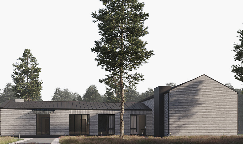 Дома из пеноблоков BH-251